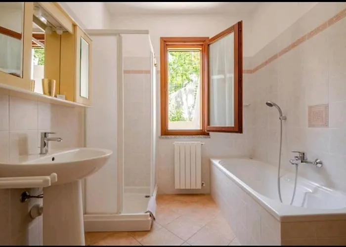 La Vecchia Quercia *