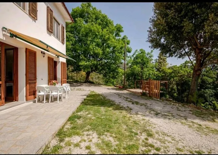 La Vecchia Quercia * Marmi